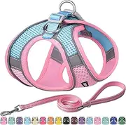 AIITLE Dog Harness, Summer No-Pull Cat Harness with a Leash, Adjustable Reflective Dog Vest, Cat Harness Escape Proof, Outdoor Walking, Running,Training for Extra Small Dogs and House Cats Pink XXXS