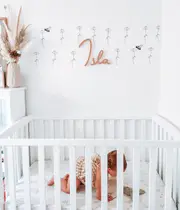 Daisy's Australian Design Hand Painted Peel & Stick, Removable Wall Decal. Nursery, Kids Playroom, Kids Teens Bedroom