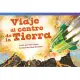Viaje al centro de la tierra / Journey to the Center of the Earth