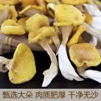 在飛比找蝦皮購物優惠-『仲景膳食』今年新貨雞油菌幹貨菜類特產榆黃蘑黃絲菌黃金菇菌菇