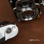 Cam-in Lion's head Universale Camera Shutter Release Button CAM9113