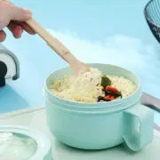 Wheat Straw Instant Noodle Bowl 850ml Porridge Bowl Portable Lunch Box Fruit