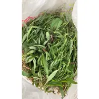 在飛比找蝦皮購物優惠-天然草本 食材 陸龜食材 鸚鵡食材 蘆薈 桑葉 咸豐草 小金