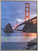 FrameWorks Aluminum Poster Frame, 18x24 inches, Brushed Metal Design, Gold