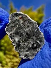 meteorite: Bechar 006 Weight 1.611 Grams. Beautiful Lunar