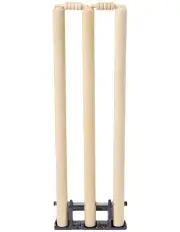 [Jenjo] Cricket Retractable Stumps