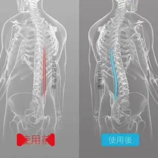 【火星公園】半圓三角腰墊枕 腰靠墊(護腰枕 靠腰枕 腰冰枕 太空棉腰墊 腰靠墊)