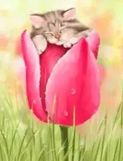 5D Diamond Painting Kitten in a Tulip Kit