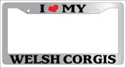 Chrome License Plate Frame I Heart My Welsh Corgis Auto Accessory 606