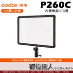 GODOX 神牛 LED P260C 128顆LED燈 大面板 可調色溫 超薄型 補光 持續燈(含電源供應線)