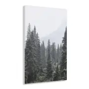 Fog Pine Trees Acrylic Print. Colorado Landscape Wall Decor.