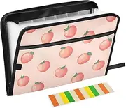 Quteprint 13 Pockets Expanding File Folder with Zipper Closure, Pink Peach Pattern Accordion File Folder with Sticky Labels, Letter Size A4 Papers Expandable File Document Organizer