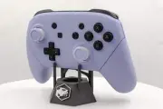 Battle Beaver Switch Pro Pre-Built Controller (25)