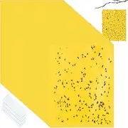 100 Pcs Double Sided Yellow Sticky Traps for Flying Plant Insect Like White Flies Aphids 6 x 8 Inch Yellow Sticky Gnat Traps Killer Fruit Fly Traps for Indoor Outdoor Including Twist Ties