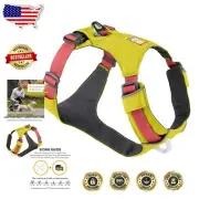 Trail-Ready Small Dog Harness: Lichen Green, Adjustable Fit for All Activities