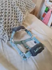 Mini Pony LemeiuxHorse Head Collar