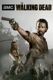 2013 AMC FILMS THE WALKING DEAD RICK AND MICHONNE POSTER NEW 24x36 FREE SHIP