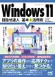 免費送貨 Windows 11 專業 USB 零售盒 win 11 pro