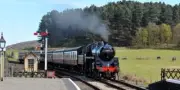 Gaugemaster Sound Capsules: Bring Full Sound Effects To ANY Analogue Model Train