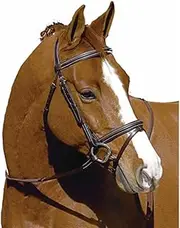 Henri de Rivel Plain Raised Bridle with Flash