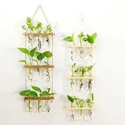 Maghat Wall Hanging Planter Terrarium with Wooden Stand, 3 Tiered TestTube Flower Vases Retro Hanging Glass Planter Propagator for Hydroponic Plants Cutting Home Office Garden Decor- 9 Test Tubes