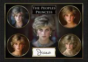 Princess Diana - Exclusively Made by Mashed Designs