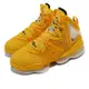 Nike 籃球鞋 Lebron XIX EP 19 Hard Hat 男鞋 金黃 氣墊 運動鞋 DC9340-700 [ACS 跨運動]