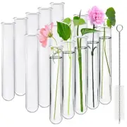 15 Pcs Clear Test Tubes for Plant Propagation Station, Acrylic Test Tubes for...