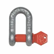 Taskmaster 12mm Galvanised D Shackle