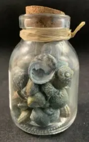 Small Glass Jar of Mini Sea Shells - Cork Top Bottle - Approx. 3 Inches High (D)