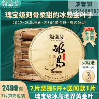 在飛比找Yahoo!奇摩拍賣優惠-【新益號】新益號2022古500冰島古樹茶黃金葉雲南七子餅普