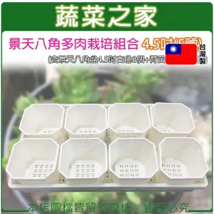 【蔬菜之家】景天八角多肉栽培組合4.5吋5號(含景天八角盆4.5吋白色8個+育苗盤白色*1個)