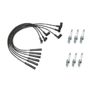Bosch Ignition Leads + 6 x Denso Iridium TT Spark Plugs for Ford Fairlane AU2