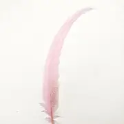 20" To 30" Silver Pheasant Tail Feather - Pink ((SECONDS))