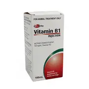 Zoo Pets Value Plus - Vitamin B1 Injection (100ml) | For Dogs/Horses