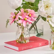 Mini Cosmos Bouquet in Vase [HABHCOSBVW25]