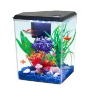 2.5 Gallon Plastic Aquarium with Internal Filter LED Light Accessories Included