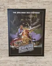 Star Wars Empire Strikes Back Art Canvas Portrait Artissimo 14x18in Leia Luke