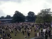 Horse Racing General view of the crowds at Goodwood Old Photo