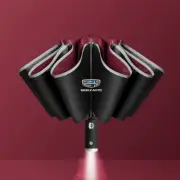 Car Automatic Folding Windproof Sunshade Umbrella for GEELY Geometry C Monjaro C