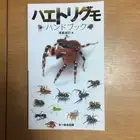 Jumping spider Photo Hand Book Arthropoda