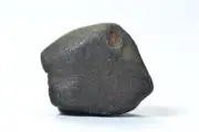 Meteorite WILUNA - Chondrite H5 - fell 1967 in Australia - individual - 9.22 g