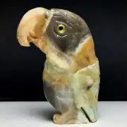 PARROT CARVING AMAZONITE AND ARAGONITE PARROT FIGURINE 89 X 56 X 12 MM 100 G