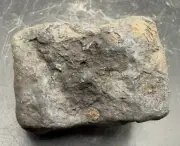 Pallasite Iron Stony Meteorite Semi Magnetic Indiana Fusion Crust 631 Grams