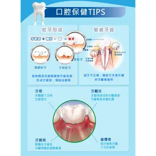 Oral-B 歐樂B 單束毛 牙間刷 超細毛 深層清潔 全方位 牙刷 便攜型 牙縫刷 新單束毛牙間刷 新名典牙刷