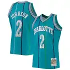 Men's Mitchell & Ness Larry Johnson Teal Charlotte Hornets 1996/97 Hardwood
