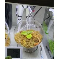 在飛比找蝦皮購物優惠-玻璃圓球狀 水生植物多肉植物 植栽盆栽花架花盆 水族植物通用