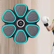 Smart Music Boxing Machine Speed Training Trainer for Sports Home Gym Indoor