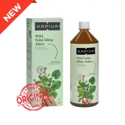 Kapiva Tulsi Giloy Juice 1L – Natural Immunity Booster | Herbal Detox Drink