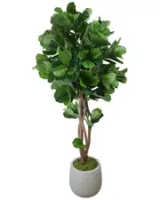 Creative Displays Fiddle Leaf Tree in Fiberstone Pot